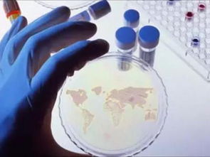 最新預(yù)測報(bào)告 未來全球石墨烯的九大發(fā)展趨勢