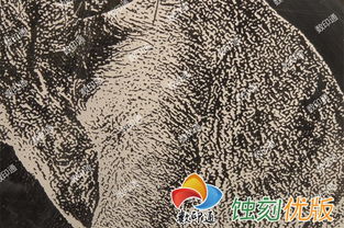 【數(shù)印通pl-90a平板打印機不銹鋼蝕刻掩膜打印機uv打印機標牌耐腐蝕層打印機】-